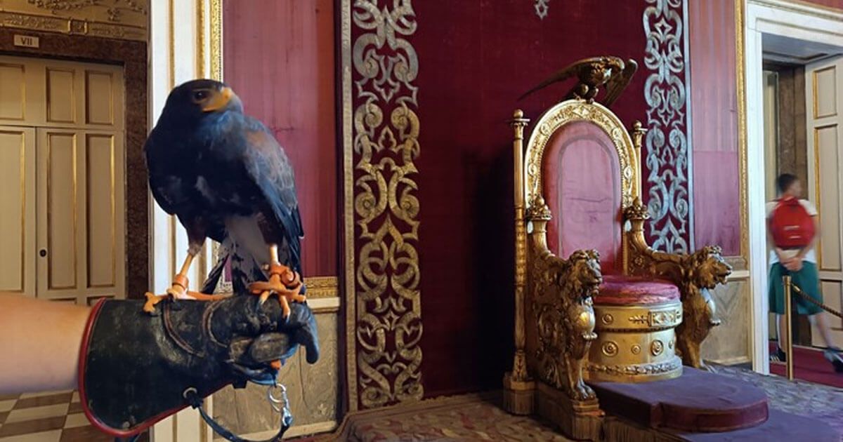 Palazzo Reale, dimostrazione di volo della falconeria