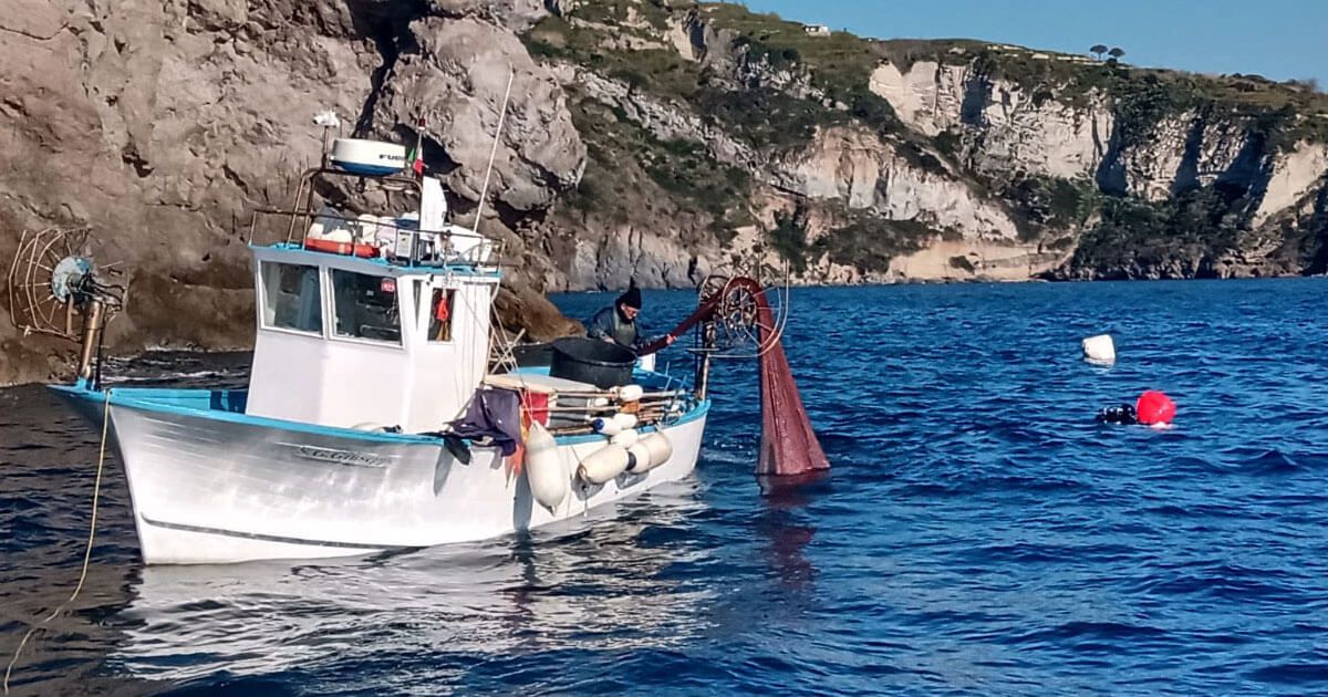 Convegno sulle aree marine protette nel Regno di Nettuno