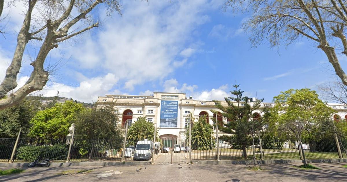 Il presidente della Stazione Zoologica Anton Dohrn di Napoli si dimette